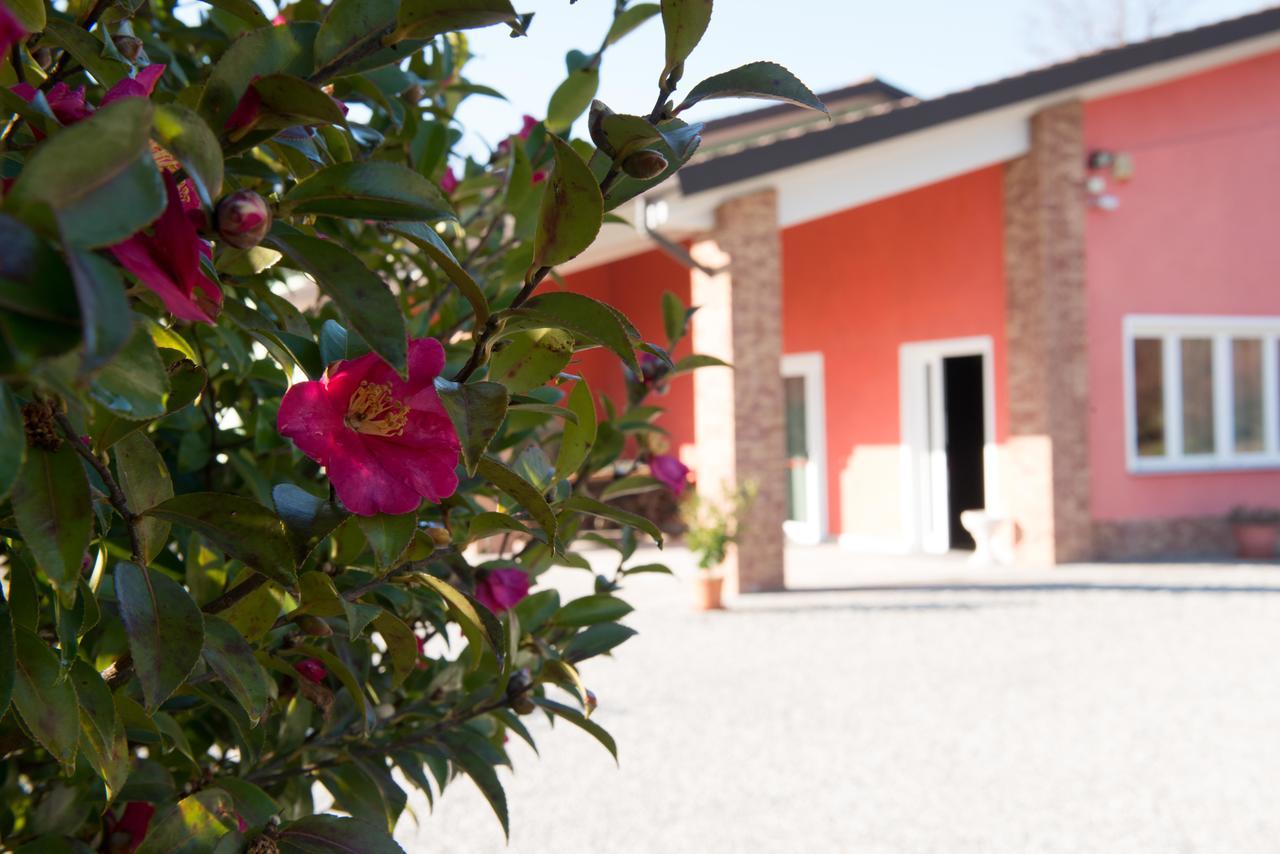 Tenuta La Vigna Malgesso Exterior foto